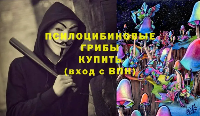 цена   Ворсма  hydra вход  Галлюциногенные грибы Psilocybe 