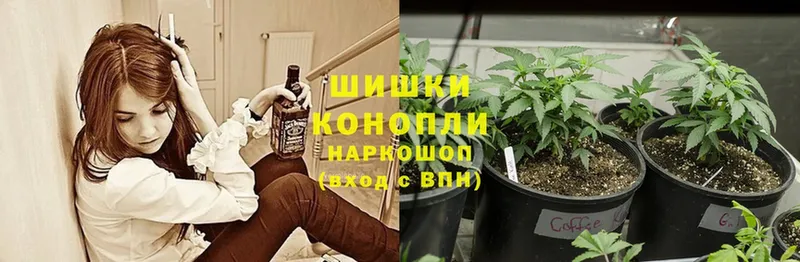 МАРИХУАНА THC 21%  Ворсма 